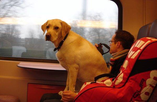 Transportul animalelor pe calea ferată