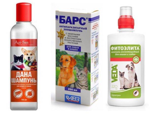 Șampon cu purice pentru câini